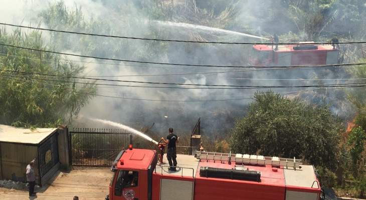  النشرة: اخماد حريق داخل أحد البساتين في صيدا 