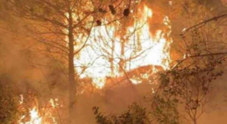 تجدد الحريق في كفرحبو وتمدده إلى أراض زراعية ومنازل