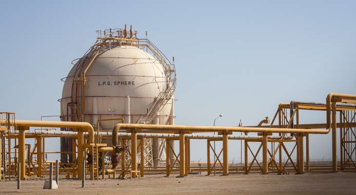 وزير البترول المصري بحث مع وفدين من البنك الدولي إجراءات تصدير الغاز إلى لبنان