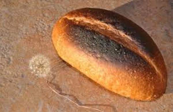 الخبز المحروق يسبب الإصابة بالسرطان 