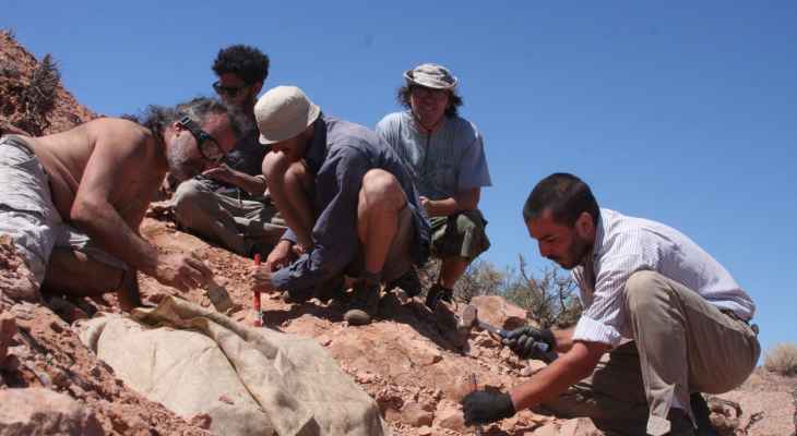 عمره 100 مليون عام.. الكشف عن بقايا ديناصور صغير مدرع في الأرجنتين