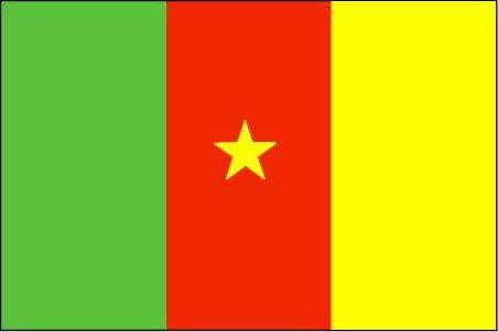 الجيش الكاميروني أعلن مقتل 116 مسلحاً من &quot;بوكو حرام&quot;