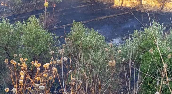الدفاع المدني: إخماد حريق مساحة شاسعة من الأعشاب والأشجار في المنشية بالجية