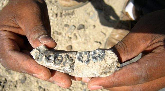 اكتشاف حفرية في أثيوبيا لما يعتقد أنه من &quot;أوائل البشر&quot;