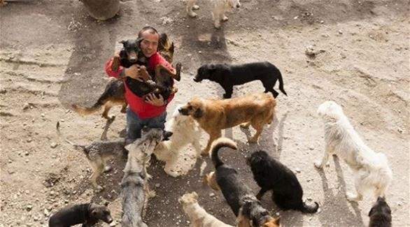 مليونير صيني ينفق كامل ثروته على الكلاب المشردة