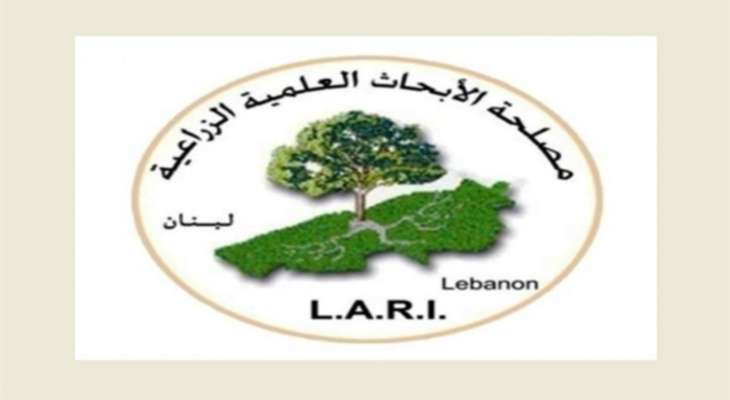 "LARI": على المزارعين في تل عمارة الاستفادة من الامطار ورش الاسمدة دون الاكثار منها يومي 16 و17 آذار