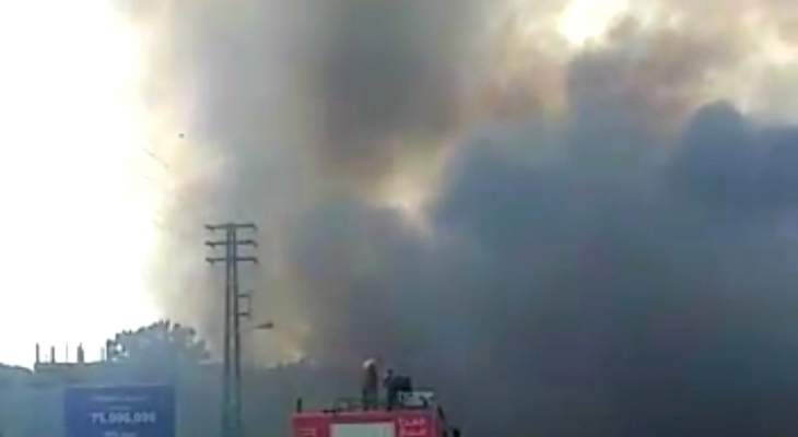 حريق في جوار تل عرقة الاثري والدفاع المدني اخمد حريقا في قعقعية الصنوبر