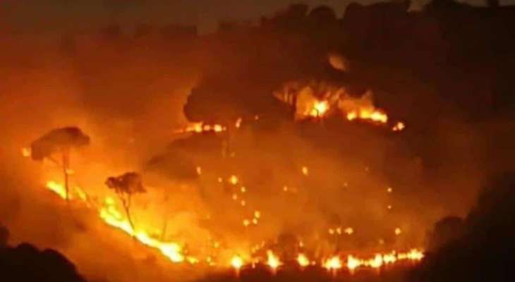 النشرة: اتساع رقعة الحريق في أحراج الصنوبر في العرقوب قضاء حاصبيا جراء القصف الإسرائيلي