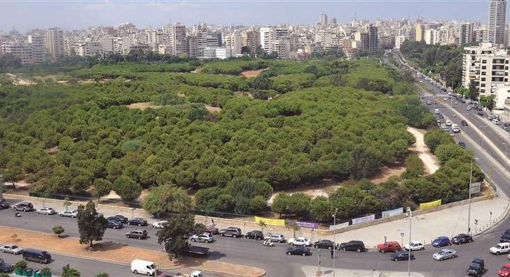 بلدية بيروت أعلنت عن اقفال حرج بيروت لمعالجة أشجاره من حشرات فتاكة