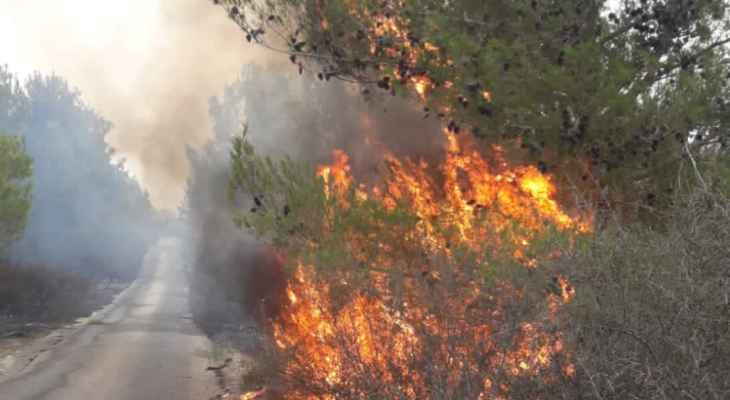 الدفاع المدني: السيطرة على النيران في أحراج المروج غربي بلدة علما الشعب