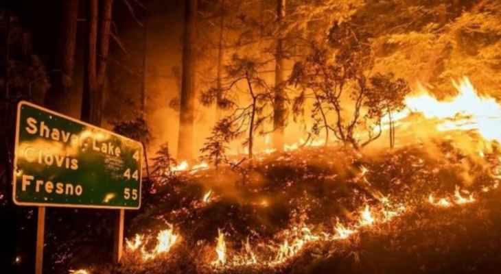 حرائق في كاليفورنيا دمرت آلاف الأشجار النادرة والعملاقة