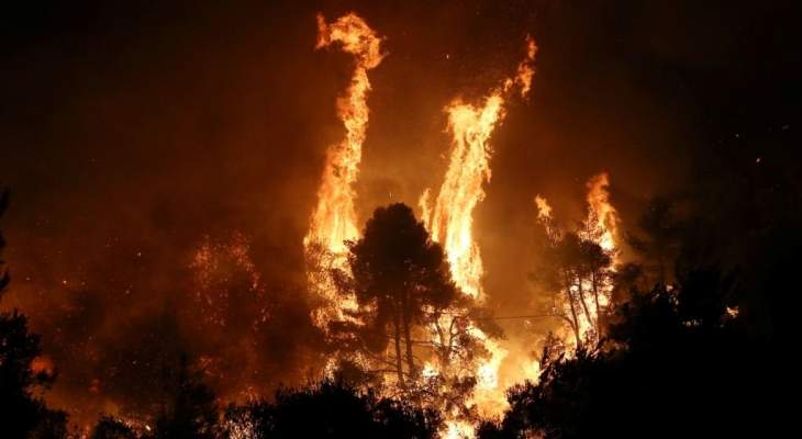حريق كبير في جزيرة إيفيا اليونانية