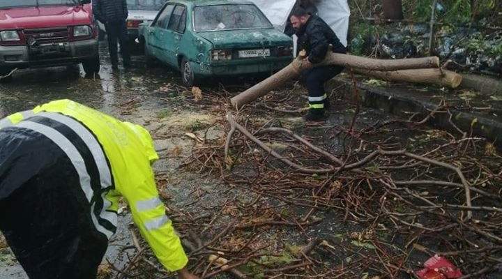 إزالة شجرة بعد سقوطها على عدد من السيارات في بشارة الخوري