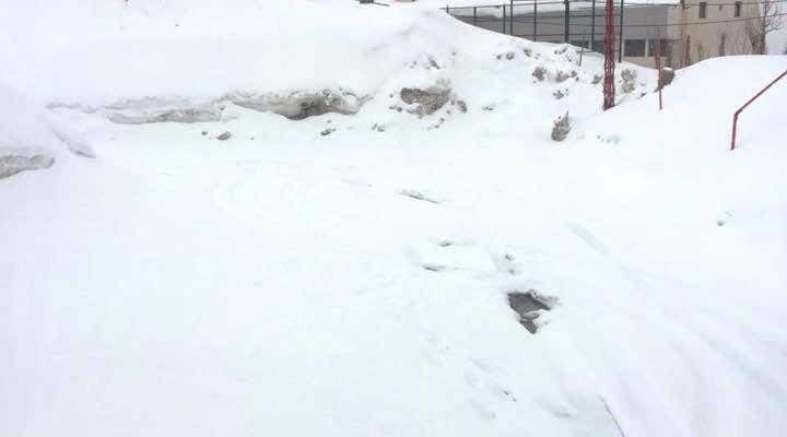 الدفاع المدني: العمل على إزالة الثلوج على طريق عام عيون السيمان- كفردبيان