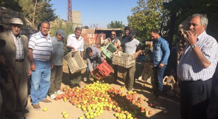 بلدية بشري دعت مزارعي التفاح لتعبئة استمارة المساعدات