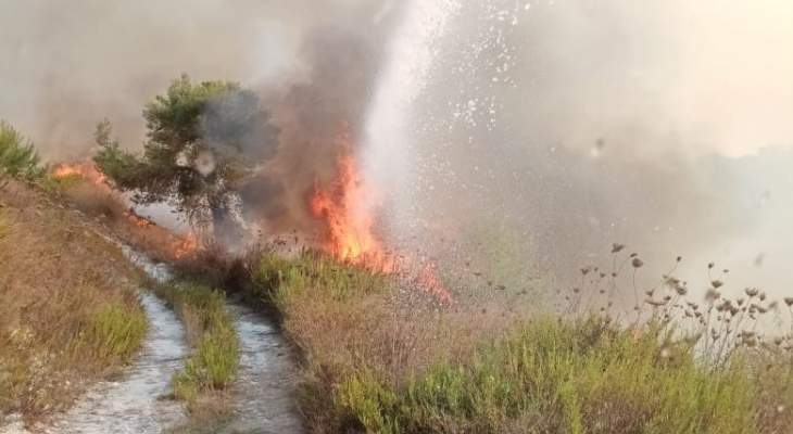 النشرة:حريق كبير في مغدوشة يمتد للأحراج والبلدية تناشد المعنيين التدخل