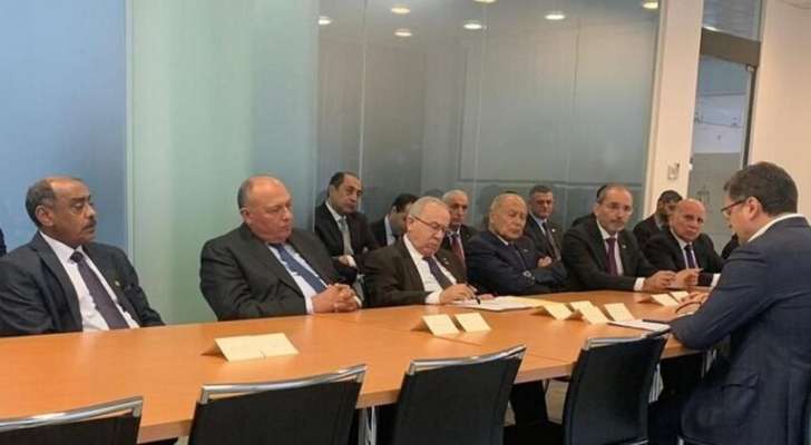 وزراء خارجية عرب: لوقف إطلاق النار وإنهاء الأزمة بأوكرانيا على أساس القانون الدولي وميثاق الأمم المتحدة