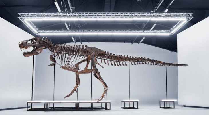 بيع هيكل عظمي للديناصور "تي ركس" في مزاد سويسري بسعر اقل من المتوقع