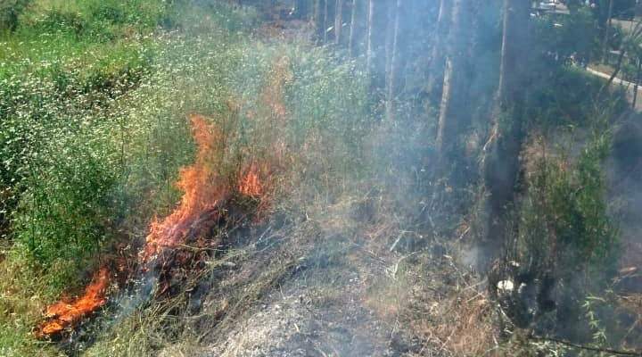 النشرة: عناصر سرية إطفاء صيدا أخمدوا حريق أشجار في الشرحبيل
