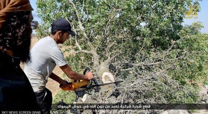 داعش "يعدم" شجرة خشية ان يعبدها الناس