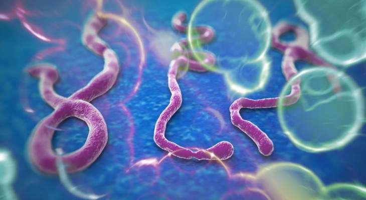 الصحة العالمية تعلن انتهاء انتقال فيروس ايبولا في ليبيريا