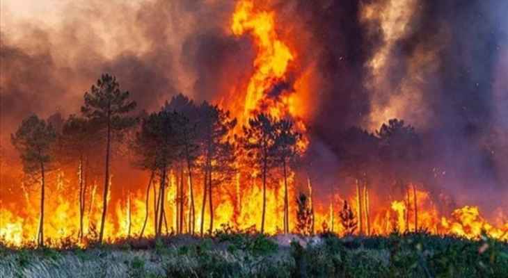 السلطات الكندية: إعلان حالة الطوارئ في مدينة كيبيك بسبب انتشار حرائق الغابات