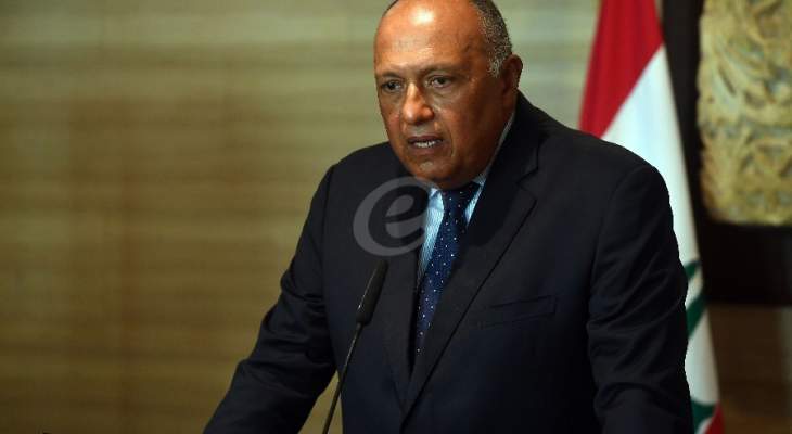 وزير الخارجية المصري: سنتخذ كل الإجراءات لحماية موارد مصر المائية