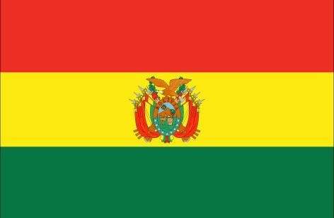 استفتاء ببوليفيا بشأن تغيير الدستور للسماح للرئيس بالاستمرار بالسلطة