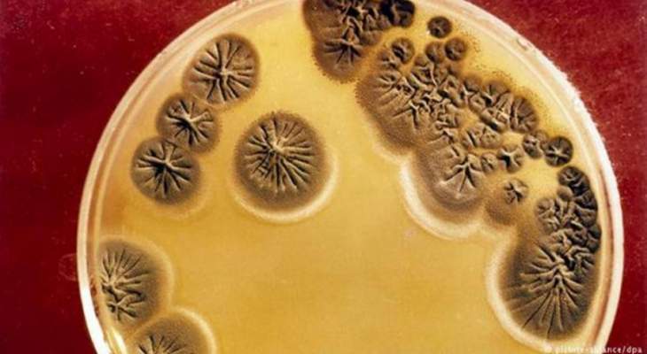 باحثون يكتشفون نوعاً جديداً من البكتيريا يسبب داء &quot;لايم&quot;