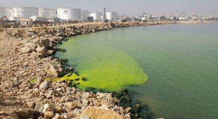 لوريان لو جور: تسربات خضراء غامضة على سطح البحر في منطقة الجديدة