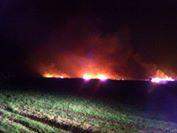 &quot;النشرة&quot;: اخماد حريق شب في حقل للقمح في منطقة المجيدية قضاء حاصبيا