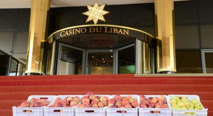 كازينو لبنان: شراء ما لا يقل عن 214 صندوقا من التفاح دعما لوزارة الزراعة 