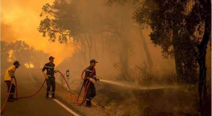 السلطات المغربية: الحرائق دمرت إلى غاية الآن 9200 هكتارا من الغابات شمالي البلاد