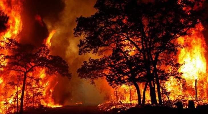 مقتل شخص ودمار 100 منزل جراء حرائق الغابات في أستراليا