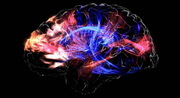 علماء يحاولون إحياء المخ الميت