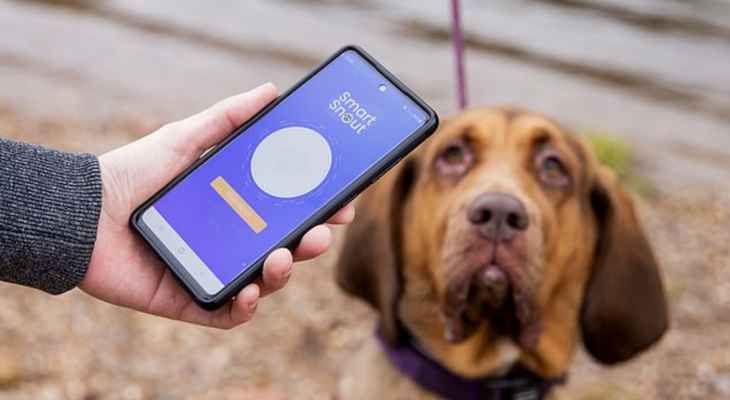 تطبيق جديد لمساعدة أصحاب الكلاب على تحديد موقع كلابهم الضائعة