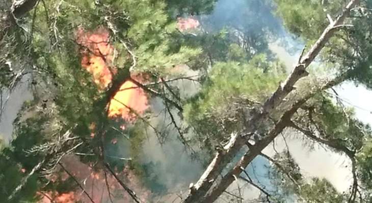 تجدد الحريق في وادي حلسبان -عكار العتيقة والبلدية ناشدت المعنيين الاسراع في إخماده
