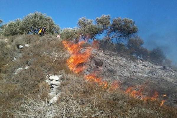 اخماد حريق اعشاب و حرج من  اشجار الزيتون في بلدة سلعا