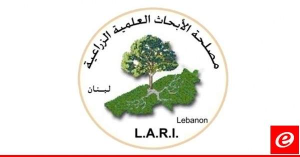 LARI: منخفض جوي خفيف يسيطر على لبنان منذ صباح اليوم وينحسر منتصف الليل