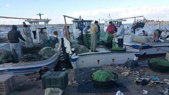 نقيب صيادي لأسماك بصيدا: السماح للصيادين ببيع غلتهم بالاتفاق مع الزبون