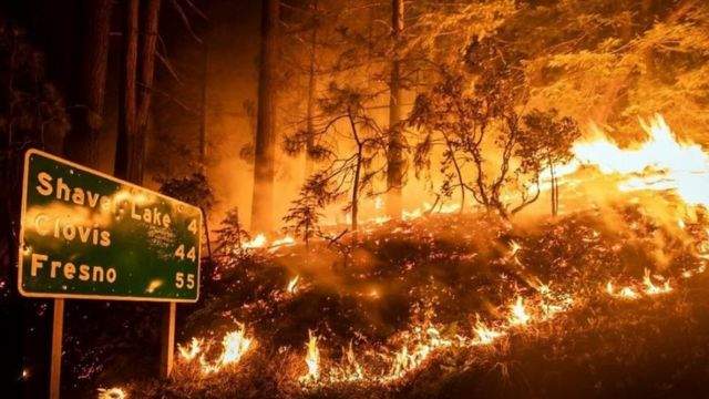 إجلاء 22 ألف شخص في كاليفورنيا بسبب حرائق الغابات