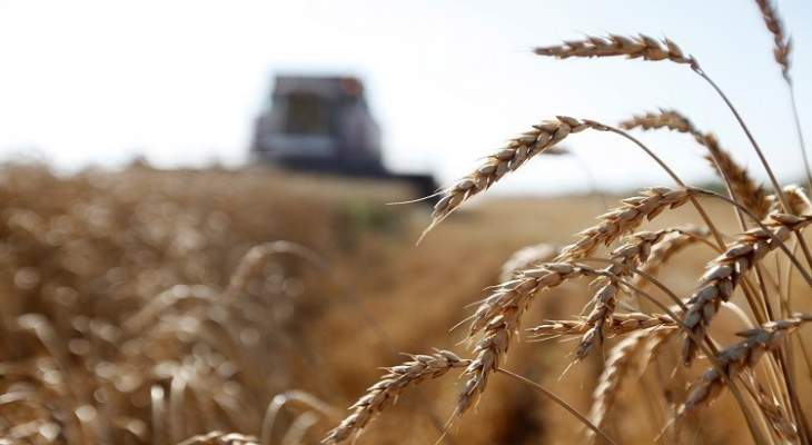 سانا: قوات تركيا وتنظيماتها تُدخل حصادات لسرقة القمح بريف الحسكة