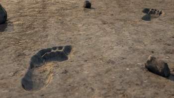 اكتشاف آثار لأقدام بشرية عمرها 19000 سنة