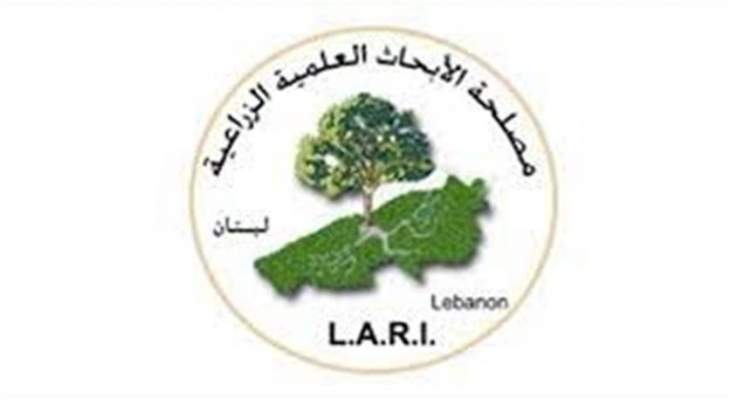 مصلحة الابحاث العلمية الزراعية: الطقس البارد يمنع وصول الجراد حاليا الى لبنان