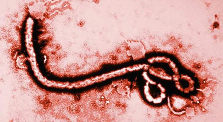 وفاة مصاب ثان بوباء إيبولا في شرق الكونغو الديمقراطية