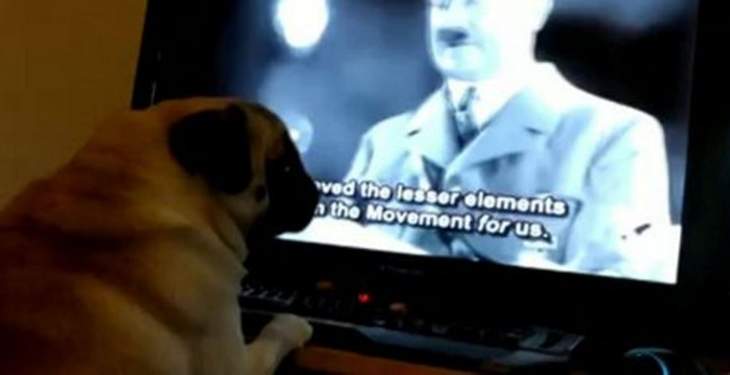 اعتقال رجل يعلم كلبه تأدية تحية هتلر