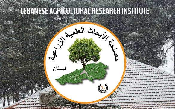 مصلحة الأبحاث العلمية الزراعية: تقلبات مناخية في الايام المقبلة