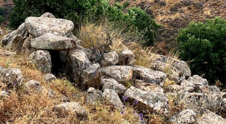 جرف أهم القبور الميغاليتية في عكار بحجة استصلاح الأرض