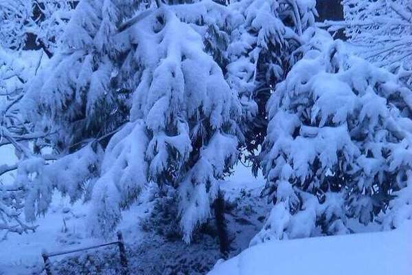 النشرة: تساقط الثلوج في مرياطة شمال لبنان على ارتفاع 300 متر