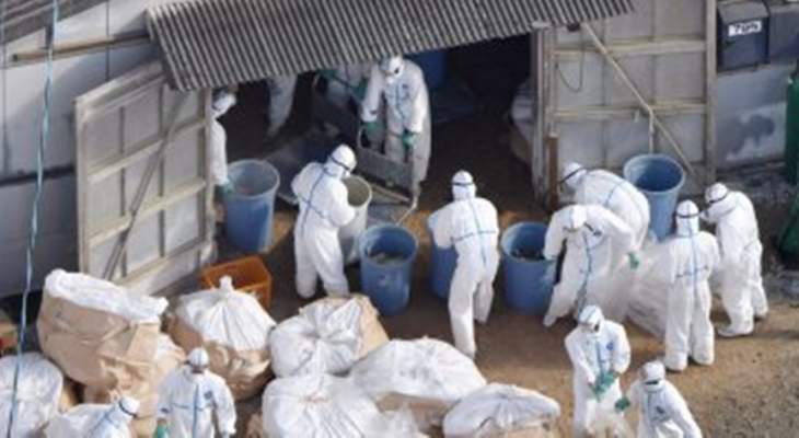 الصين تسجل أول حالة اصابة بشرية بالسلالة إتش7إن4 من فيروس إنفلونزا الطيور